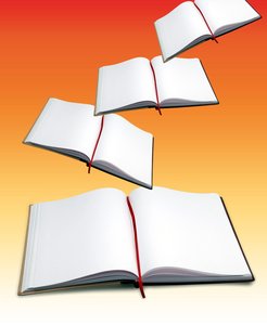 撫松縣數碼相機有限責任公司